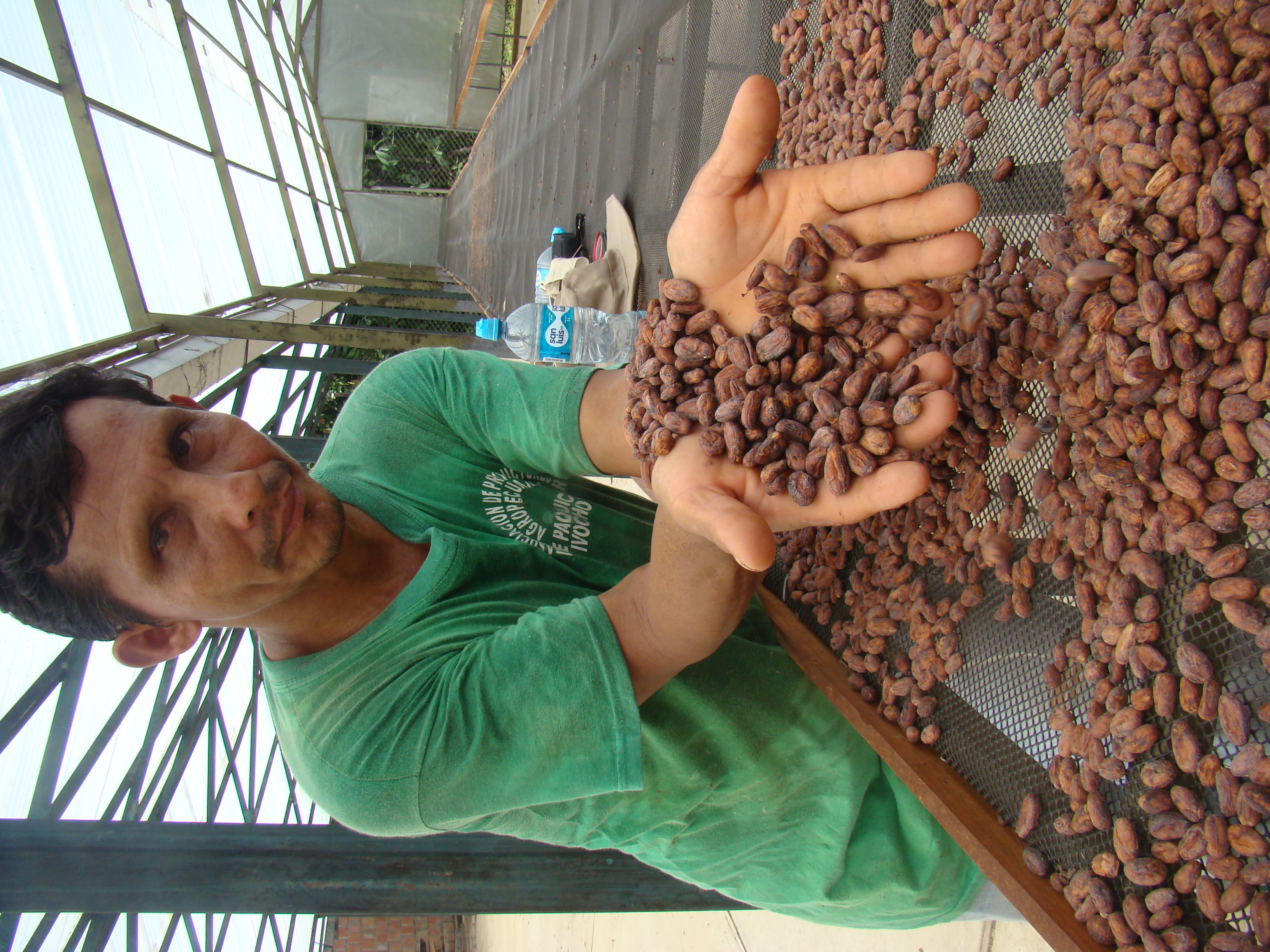 Mann präsentiert Kaffebohnen