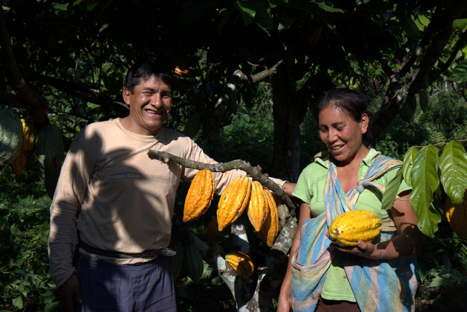 zwei Personen halten Kaffeebohnen